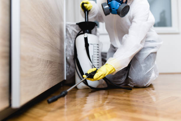 Best Pest Removal Services  in Mahopac, NY