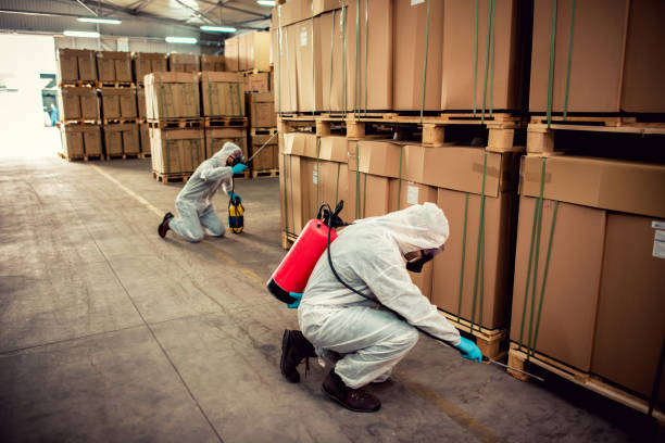 Trusted Mahopac, NY Pest Control Experts