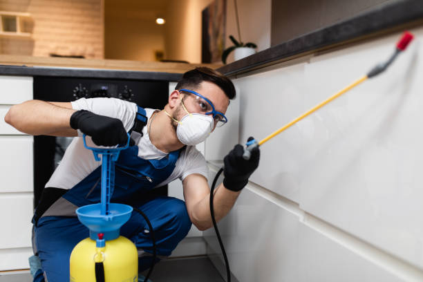 Best Residential Pest Control  in Mahopac, NY
