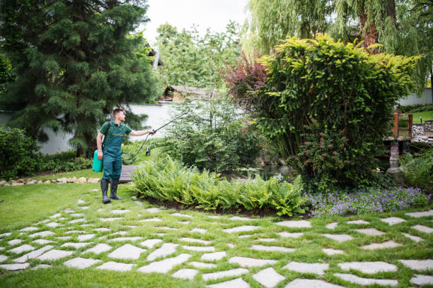 Best Emergency Pest Control  in Mahopac, NY