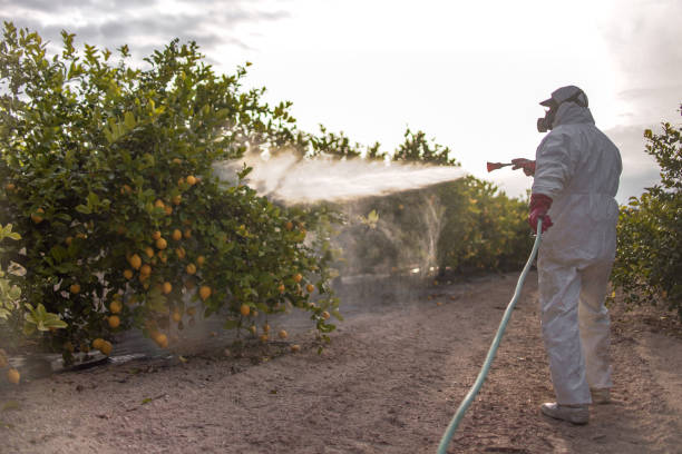 Best Mosquito Control Services  in Mahopac, NY