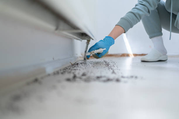 Best Wildlife Control Services  in Mahopac, NY